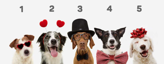 5 reasons to collect your data