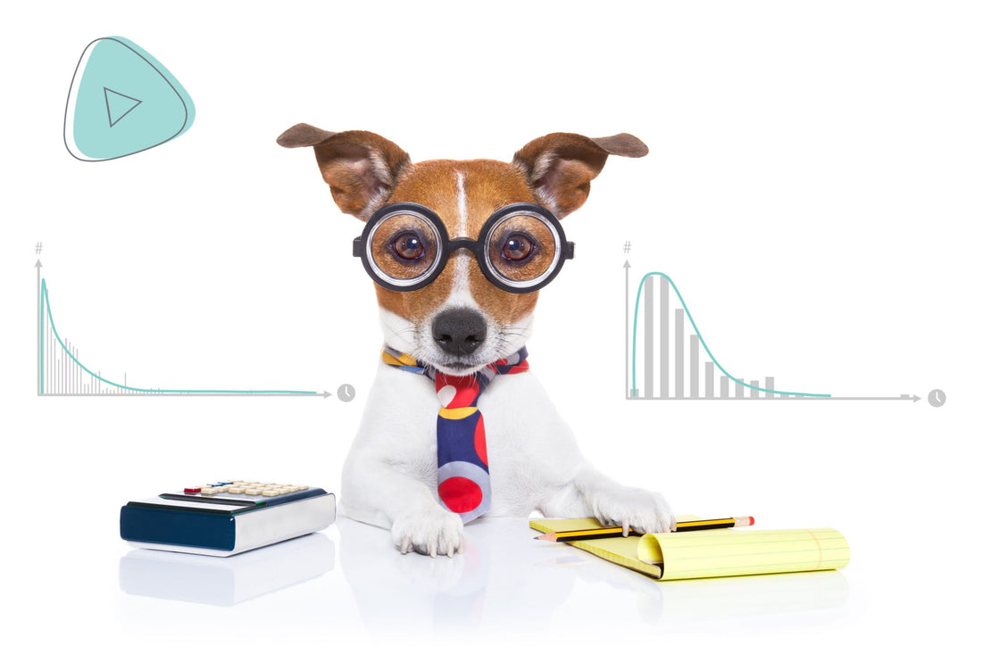 What is the relation between Little’s Law and Lead Time?